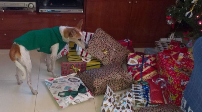 Tolo on Epiphany morning